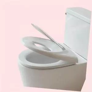 아가드 무소음 유아 변기커버 성인겸용 아기 배변훈련 1TB 011 01 4598687