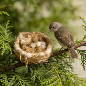 새둥지 섬유 황마 혼합 천연 새장 정원 나무 줄기 액세서리 카나리아 핀치 애완 동물 집