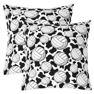 캐슬 요정 배구 던지기 베개 커버, 카와이 카우 패턴 게이밍 양면 케이스, 모던 볼 게임 스포츠 홈 데코, 블랙 화이트 침대 소파 쿠션 2팩 24인치