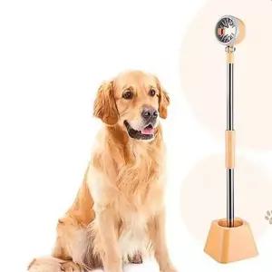 애완견 드라이기 거치대 스탠드 고정 미용 용품 애견 반려 동물 도구 헤어 건조기 기거