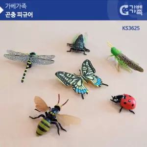 곤충모형 6종-1세트 잠자리모형 매미모형 돋보기포함