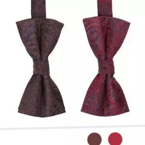 [셀러에이드]남성 보타이 남성 나비 넥타이 클래식 페이즐리 연주회 결혼식