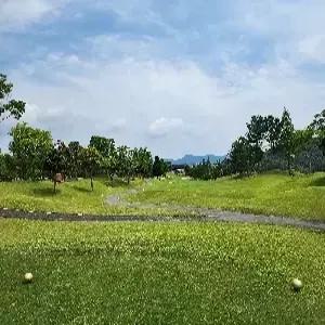 [청주출발/오후출발] 오사카 골프 4일 #다색골프 #18홀X3회 #사카이/이즈미사노 외 4곳 #시내호텔 #싱글룸업그레이드가능 #조식포함 #한국인드라이버 #2인출발가능