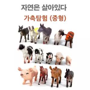 자연은살아있다 가축탐험 (중형)장난감 모형완구 공룡