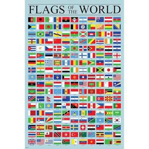 세계 국기 포스터 지리 교실 장식 국제 국가 참조 차트 쿨 월 아트 프린트 16x24