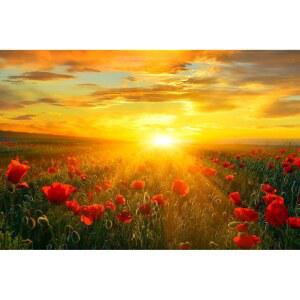 해질녘의 밝은 새날 양귀비밭 포스터 자연 떠오르는 태양 그림 풍경 사진 멋진 벽 아트 프린트 18x12