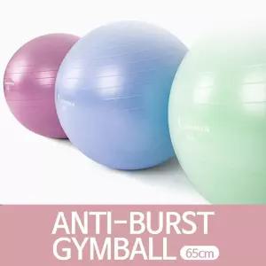 홈트 실내운동 안티버스 파스텔 짐볼 65cm볼 요가볼 멀티볼 필라테스볼 밸런스볼 운동볼 소품 도구 용품 기