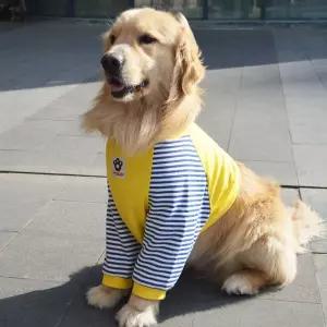 대형견 팔레그 웨어 조끼 강아지옷 실내복 펫용품애용품 반려동물 애옷 캠핑 용품점 반려련 애의류 애산책