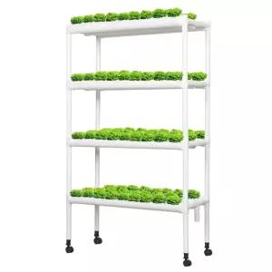 수경 재배 키트 재배기 파이프 식물 상추 가정용 야채