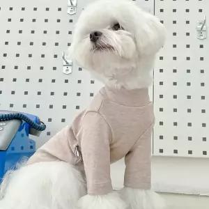 강아지옷 면티셔츠 터틀넥 BND-F36