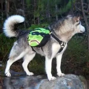 [반려] 백팩 짐가방 간식통 외출 강아지이동가방 가방 배낭 산책 강아지 M