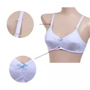 여자 중학생 속옷 주니어 브라 2단계 B컵 언더웨어