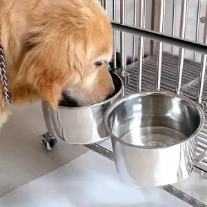 대형 개 물그릇 2팩 상자 새지 않는 케이지 액세서리용 개집 걸이 중형 품종용 스테인리스 스틸 개밥 접시