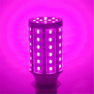 E14 E27 B22 LED 옥수수 빛 레드 핑크 블루 그린 옐로우 전구 5W 10W 30W 60W 80W 110V 220V 램프 에너지