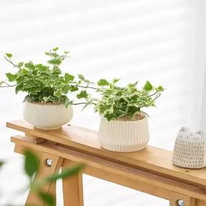 전시다이 전시 테이블 감성 스튜디오 아크릴 디스플레이