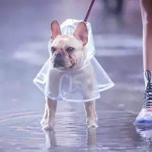 반려견 우비 강아지 우의 레인코트 반려동물 산책용품