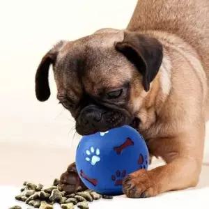 [반려] 블루 볼 스낵공 간식 노즈워크 장난감