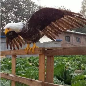 독수리 모형 맹금류 매 비둘기 퇴치 조형물 새쫓는 산짐승 소품 피규어