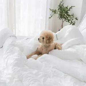 알러가드 이불1+패드1+베개커버1 호텔 침구세트SS