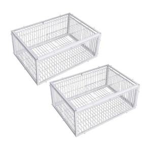 자동 트랩 새장 토끼 케이지 마우스 항목만 종료 없음 두꺼운 암호화된 비둘기 수집 휴대용