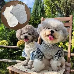 강아지셔츠 티셔츠 외출복 실내복 애견귀여운옷 XS~XL