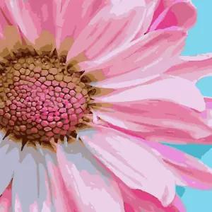 하모니아트 DIY 유화그리기 세트 40x50 코스모스페인팅 아이러브 액자 만들기 그리기 취미생활 용품 그림그