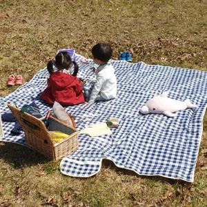 체크무늬 방수 매트 블루 대형캠핑 여행용 휴대용 차박돗자리 소풍 다용도돗 등산 등산돗