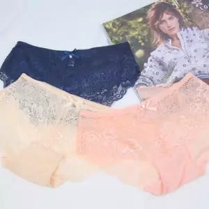 심리스 레이스팬티 여성 언더웨어 속옷 누디 선물용 햄라인 예쁜
