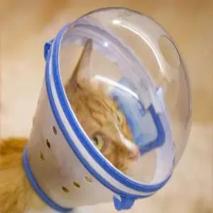 강아지 헬멧 시각장애견 보호구 충돌방지 개물림 물림방지 반려견