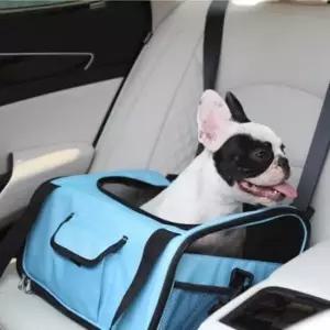 [반려] 외출 이동 가방 이동 카고형 강아지 1P 소프트스카이