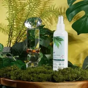 뽀송뽀송 풋스프레이 페퍼민트잎 스타킹 발냄새 200ml