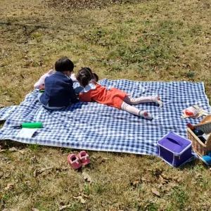 체크무늬 방수 매트 블루 중형캠핑 여행용 휴대용 차박돗자리 소풍 다용도돗 등산 등산돗