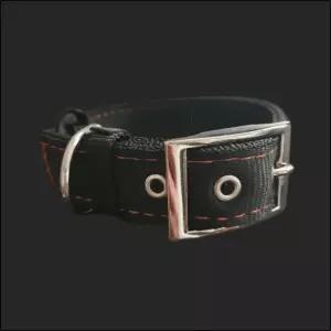 밸트 국방 개목줄 30mm 55cm 러프웨어목강아지 반려견목 애견목 걸이 애완 목걸이 산책 개목 댕댕이목