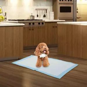 배변패드 애견 훈련 화장실 일회용 매트 기저귀용품 [BEQ55313]