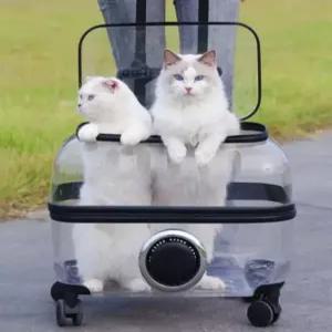 바퀴달린 캐리어 고양이 외출용 강아지 이동장 투명 휴대용 펫백 여행가방