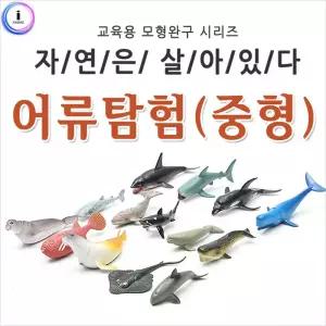 자연은살아있다 - 어류탐험 (중형 815826C)모형 피규어 동물교구 인형 동물어 규어 장난감