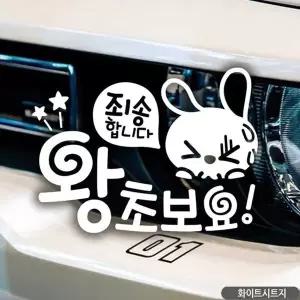 [골드스마일]죄송합니다 왕초보요 초보자동차스티커-화이트