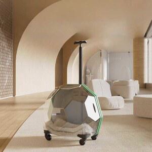 외출 산책 가방 이동장 예쁜 하우스 배낭 반려견 트레일러 스쿠터 여행 외출용품 이동형