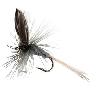 파리 다이렉트 블루 던 구색 송어 낚시 (1-12마리)