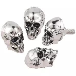 아렌벨 스컬 번호판 볼트 패스너 재미있는 자동차 프레임 태그 나사 키트 장착 오토바이 트럭 SUV 실버