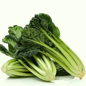 다채 비타민채 상추 야채 채소 식물 씨 종자 씨앗 2000립