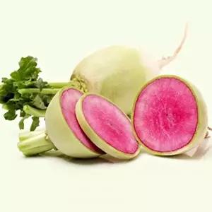 종묘사 300립 씨앗 채소 종자 무우 품종 홍심 무 빨간 야채