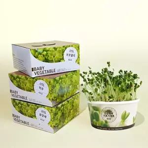 식물키우기 건강새싹 기르기세트 4종 중 택1