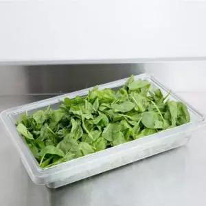 TBZ 호텔 업소 스퀘어 푸드 보관박스 1개