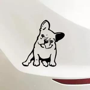 할인 프렌치 불독 차량용 스티커 / DIY 자동차
