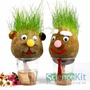 DUGNMARKT  과학수업 잔디인형 키우기 1인세트 키트