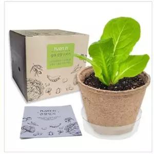 상추 모종 키우기 키트 식물관찰 원예체험 학습교구 재배활동 재료 세트