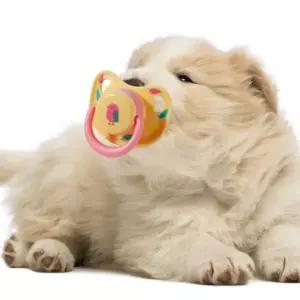 강아지 치아용 강아지유치 쪽쪽이 이갈이 터그 놀이 치발기 강아지공갈젖꼭지 애견쪽쪽이 애견치아용품 강