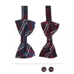 체크 사무실 정장 남자 멋있는 리본 패션 보타이 신상