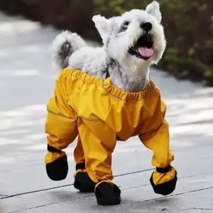[반려] 발보호 강아지 강아지옷 점프수트 외출 소형견 중형견